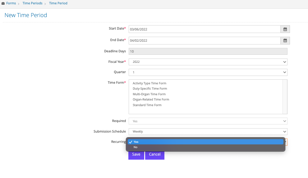 New Time Period form with dropdown menu